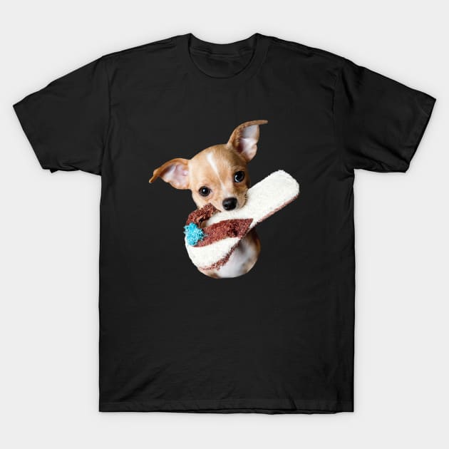 Cute dog: Dog playing with a flip flop T-Shirt by Memiefy